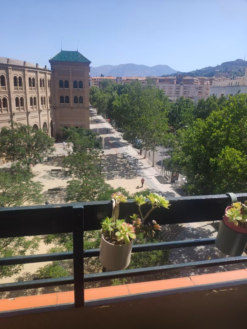 Piso en  Calle Doctor Azpitarte 1b