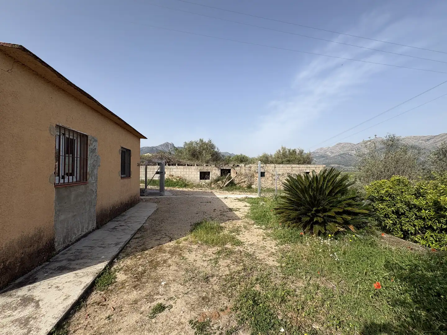 Finca rústica en  Camí dels Plans 6 - Foto 14