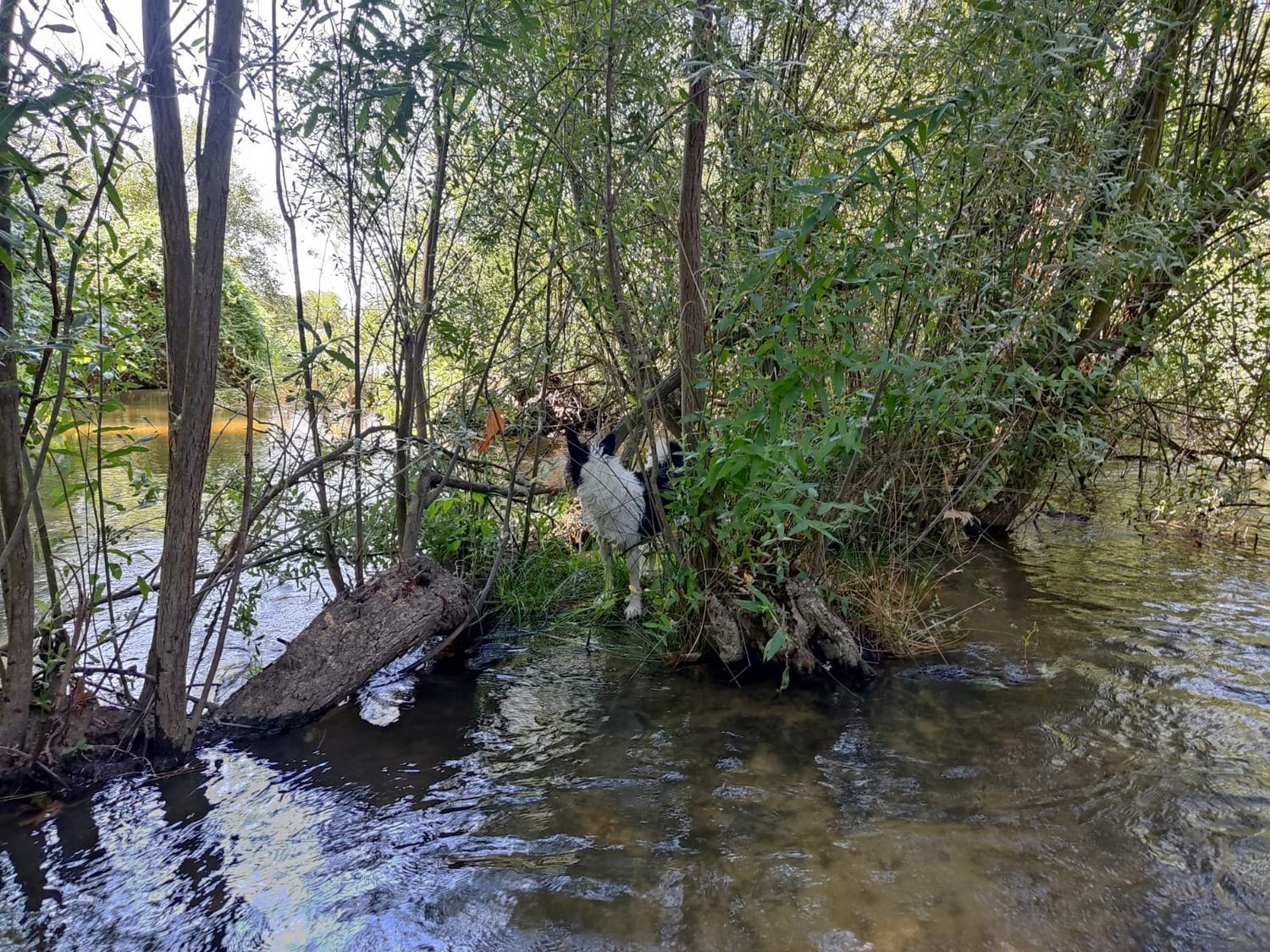 Casa rural en Calle Escalonilla, 10 - Foto 34