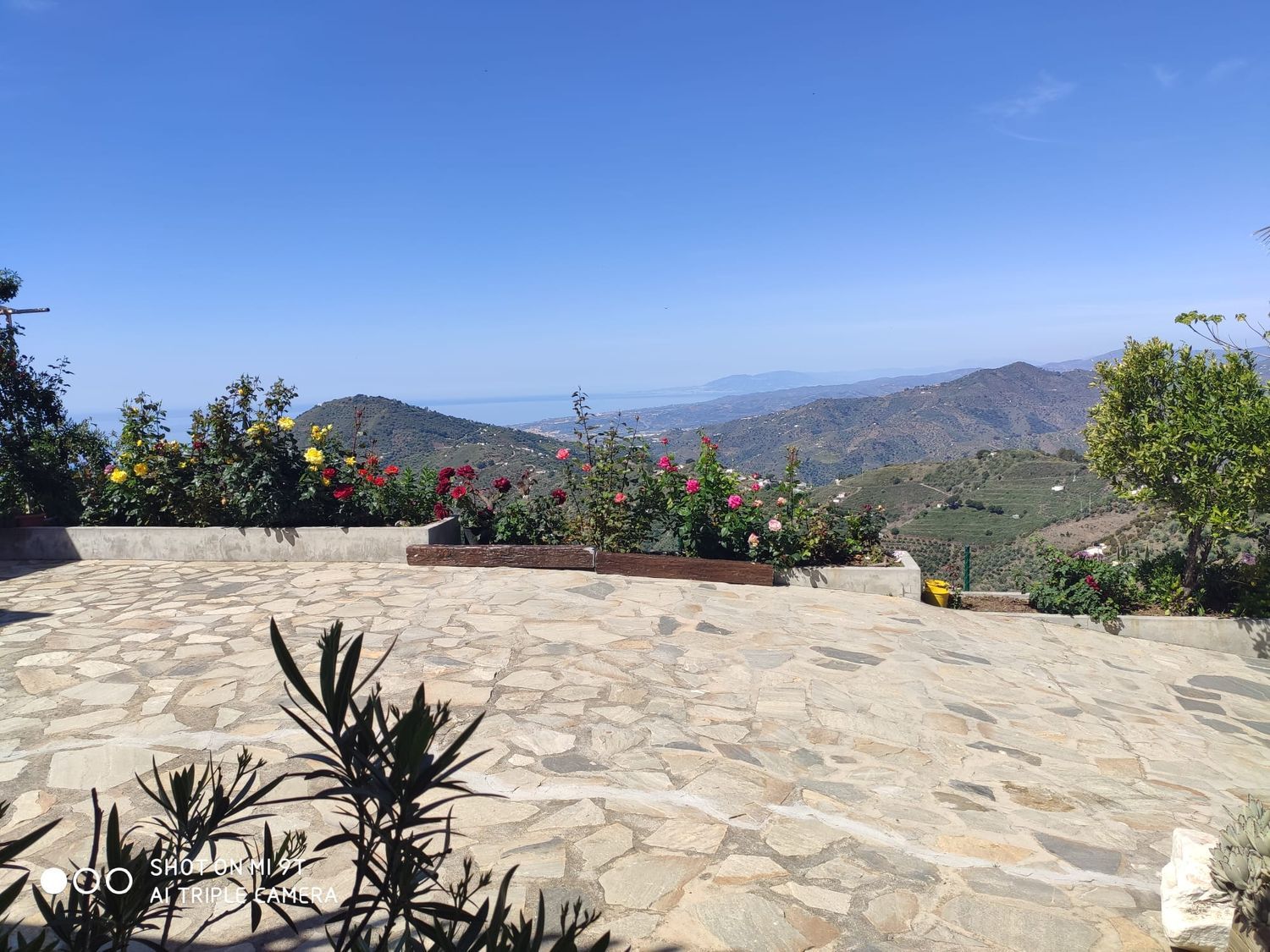 Finca rústica en Pagos del cerro, 180 c - Foto 2