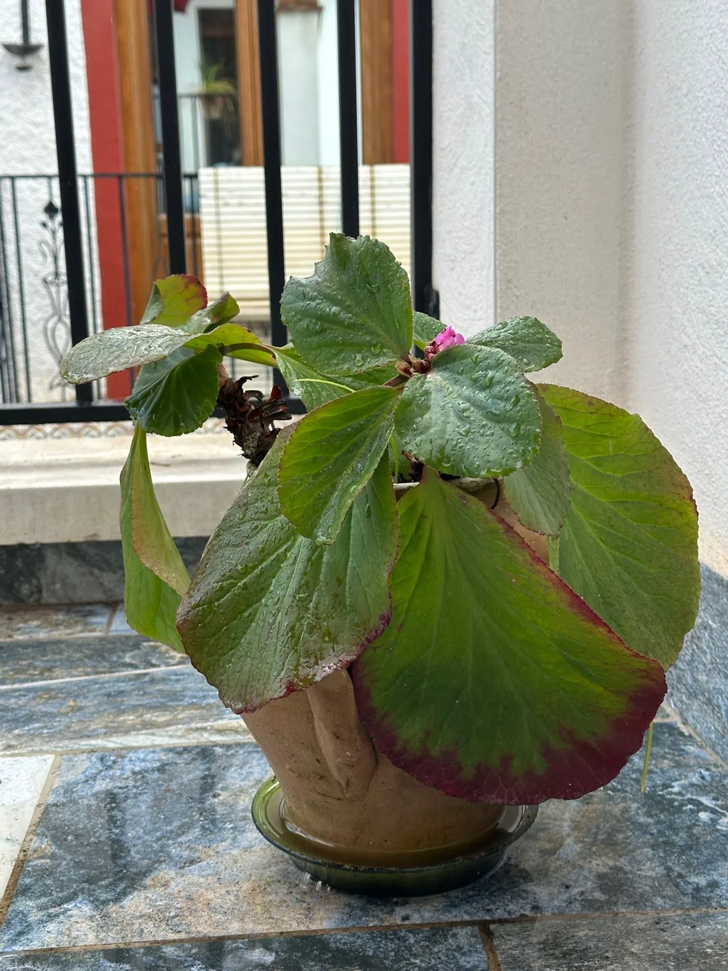 Casa independiente en Albaicín - Foto 19