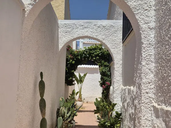 Casa o chalet independiente en San Fulgencio - Foto 4