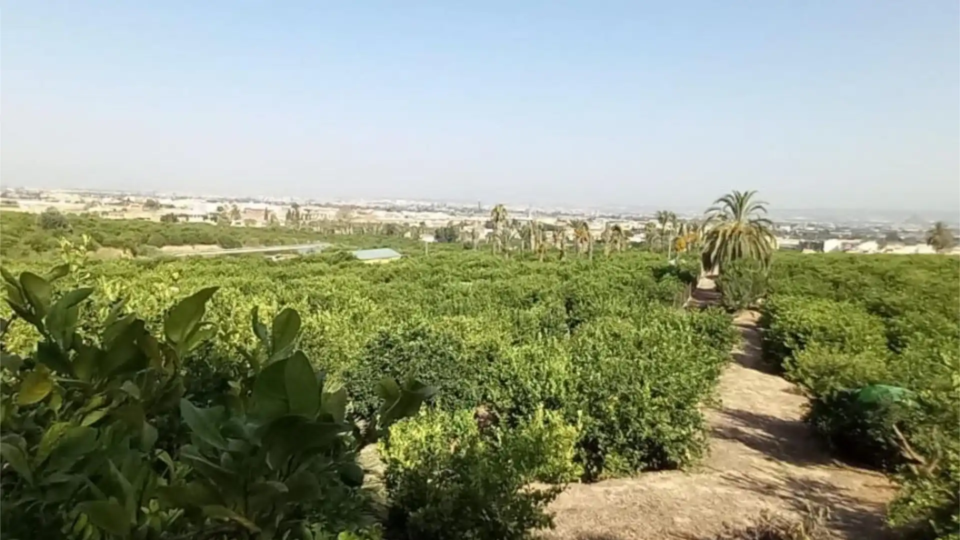 Piso en  Camino de Monteazahar 63 - Foto 17