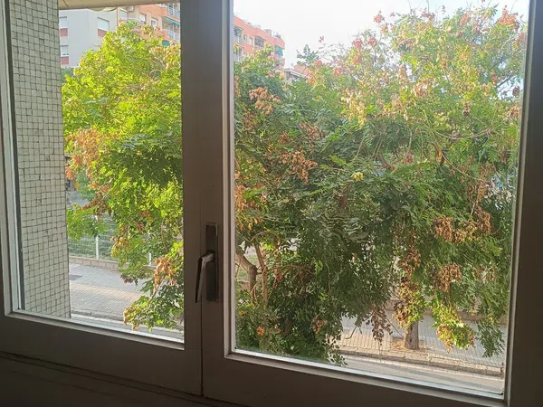 Piso en CL Gran De Sant Andreu, Sant Andreu - Foto 13