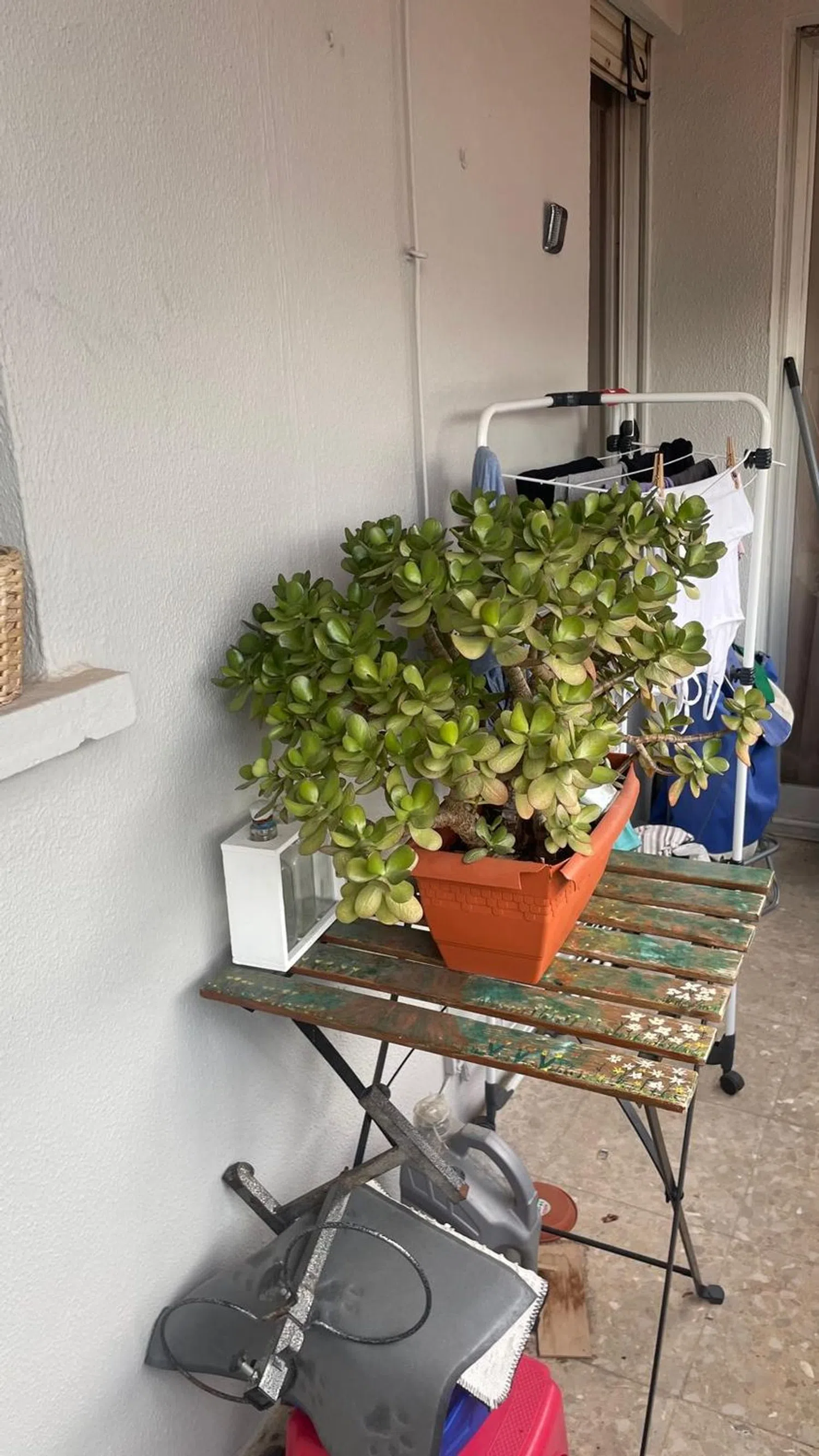 Piso en calle d'Eduard Boscà, 26 - Foto 9