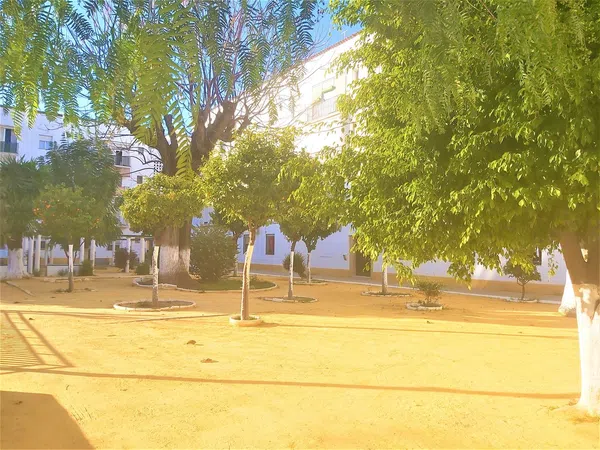 Piso en Avenida de la Reina Mercedes, 58, Reina Mercedes - Heliópolis - Foto 16