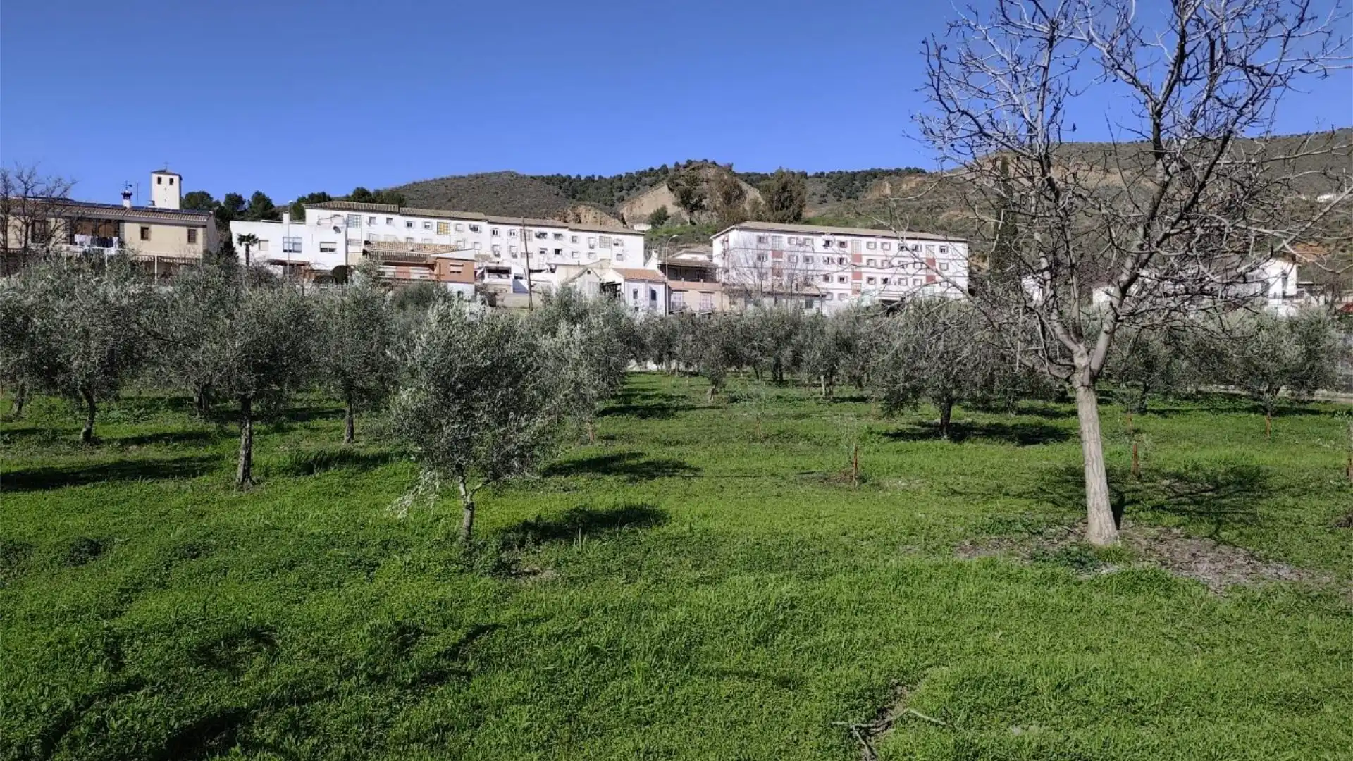 Finca rústica en  Carretera de la Sierra 180 - Foto 18