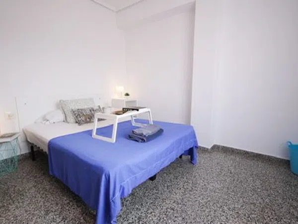 Piso en Calle del Doctor Vicente Pallarés, 12, L'Amistat - Foto 55