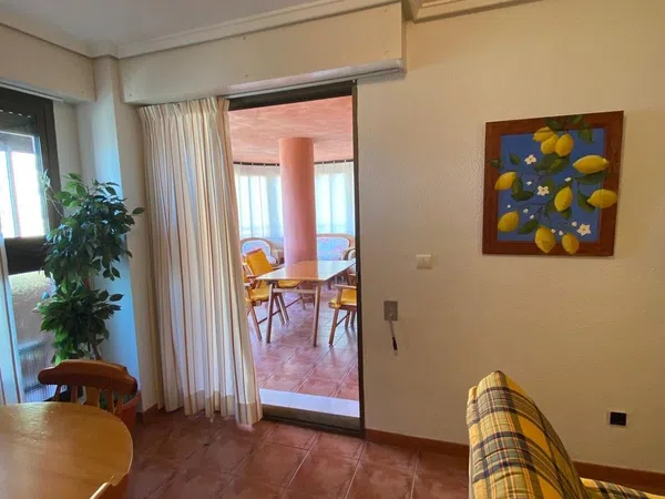 Piso en Avenida San Bartolome Tir, 44 n, Arenales del Sol, Arenales del Sol - Foto 14