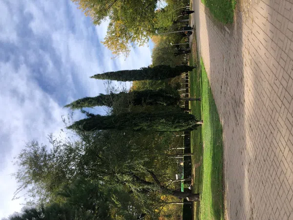 Piso en calle de Alba de Tormes, 28