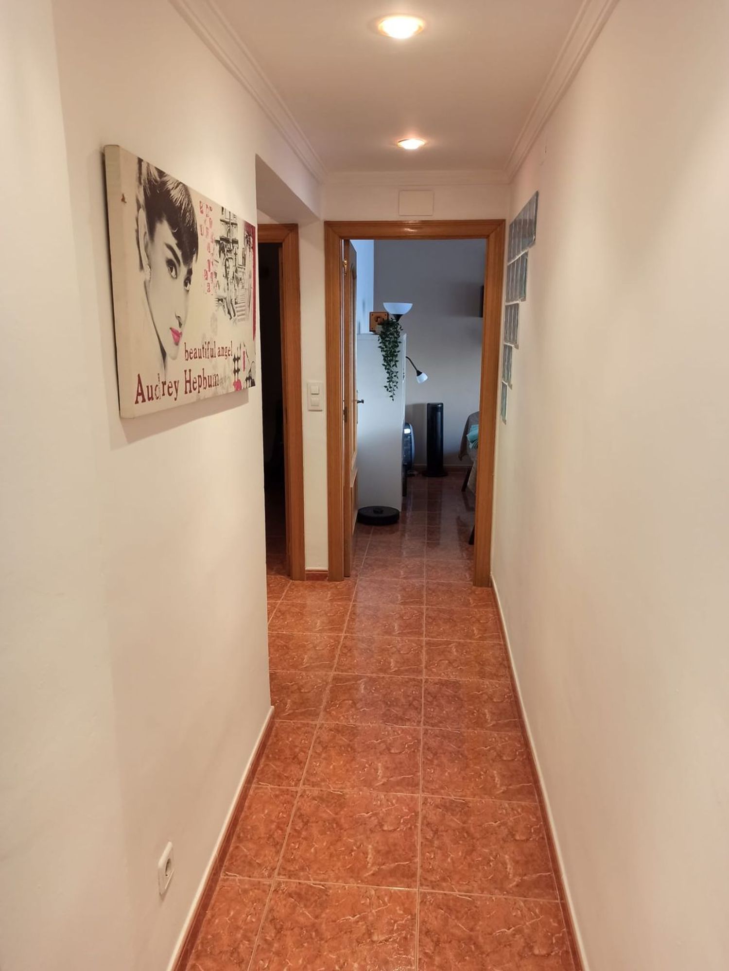 Piso en Calle Doctor Nicasio Benlloch, 68, Benicalap - Foto 5