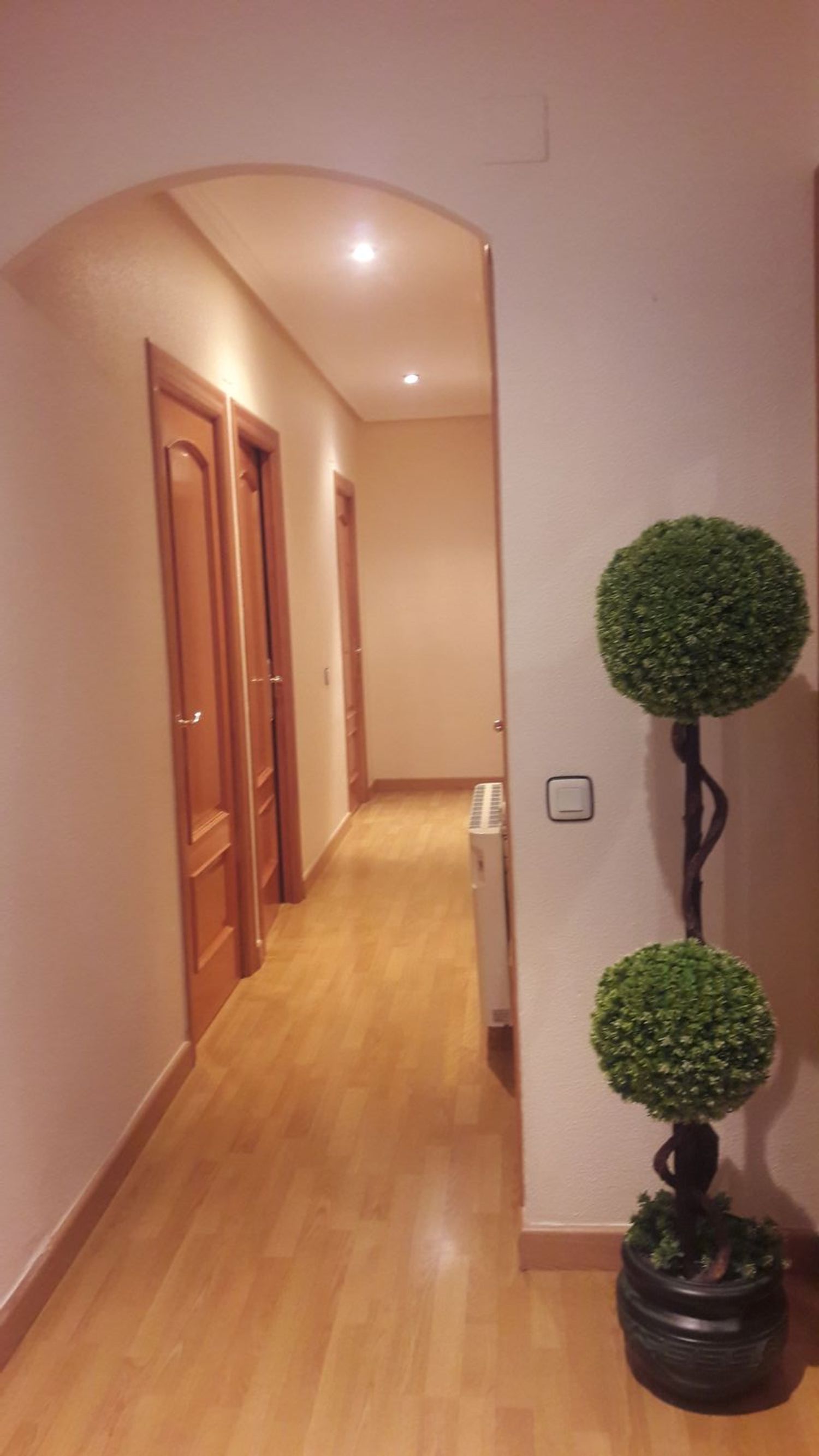 Piso en Avenida de Alcantarilla, 212 - Foto 4