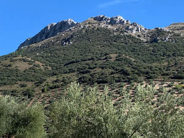 Casa rural en Paraje Los Morteros, 84 parcelay - Foto 24
