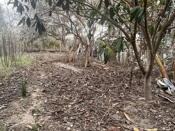 Casa independiente en Diseminado Mundo Nuevo, 19 a - Foto 9