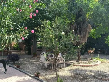 Finca rústica en  Urbanización las Encinas 2 - Foto 10