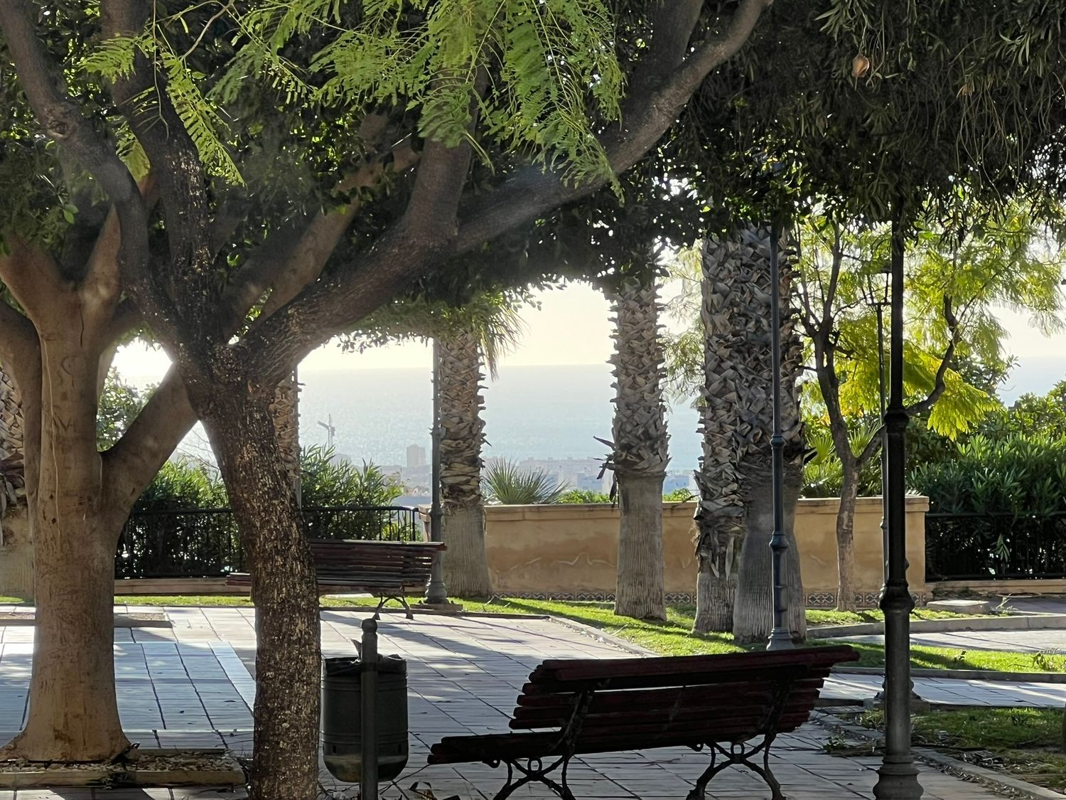 Estudio en calle de la Nit, 1 - Foto 2