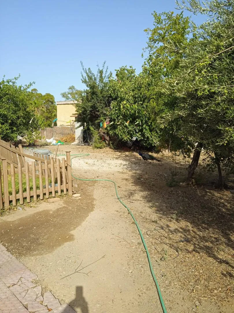 Finca rústica en  Calle Atlántida 242 - Foto 7