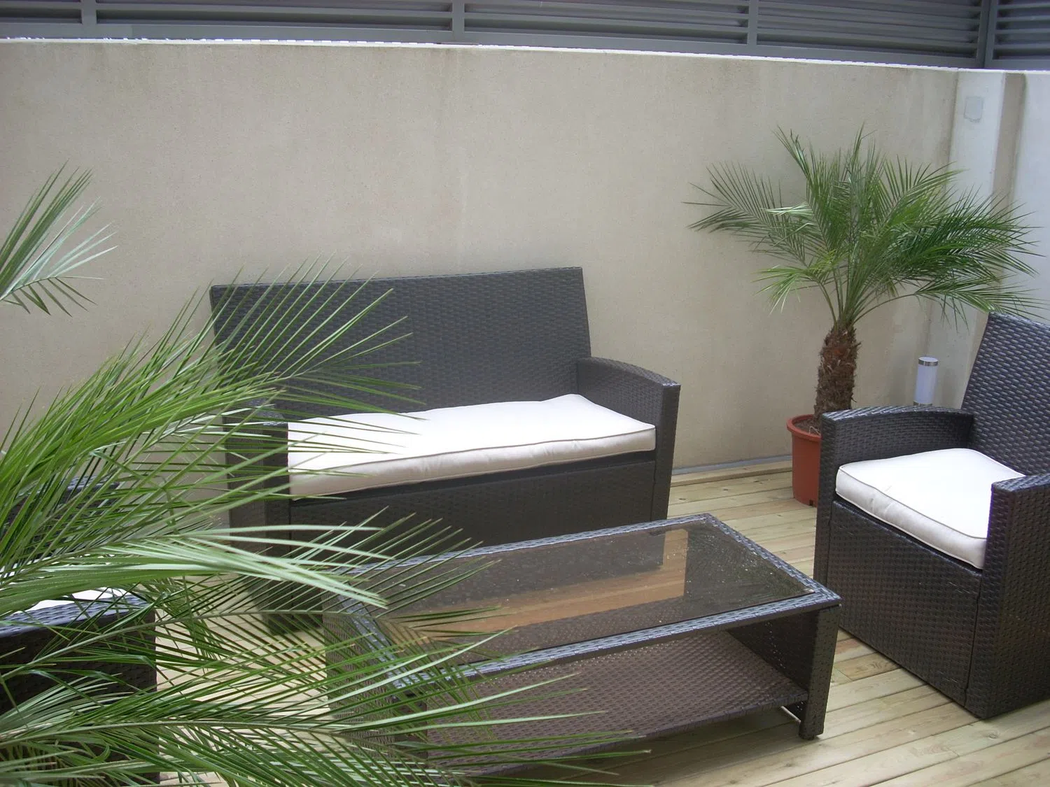 Estudio - Foto 15