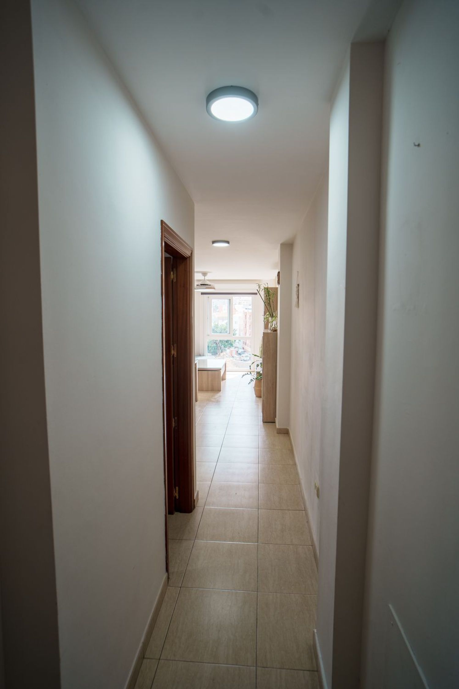 Piso en Carretera los Campitos, 11 Bajo 5 Edificio Garoe b - Foto 6