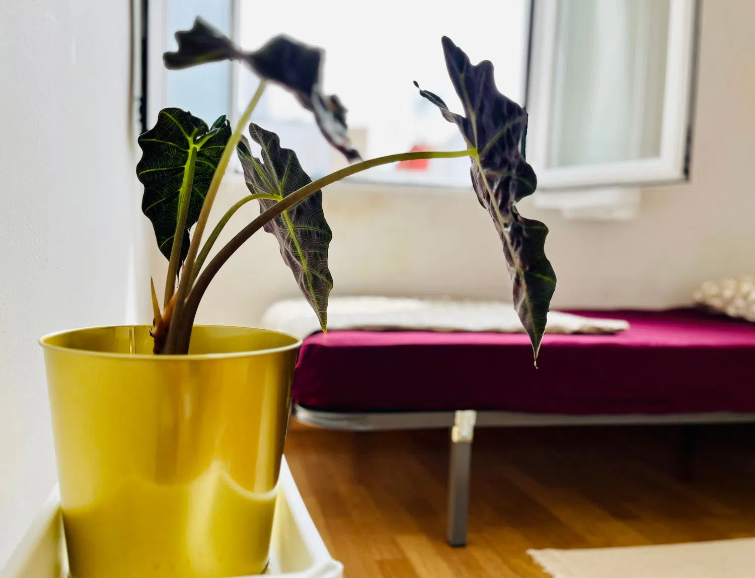 Piso en calle de Quijada de Pandiellos, 43 - Foto 6