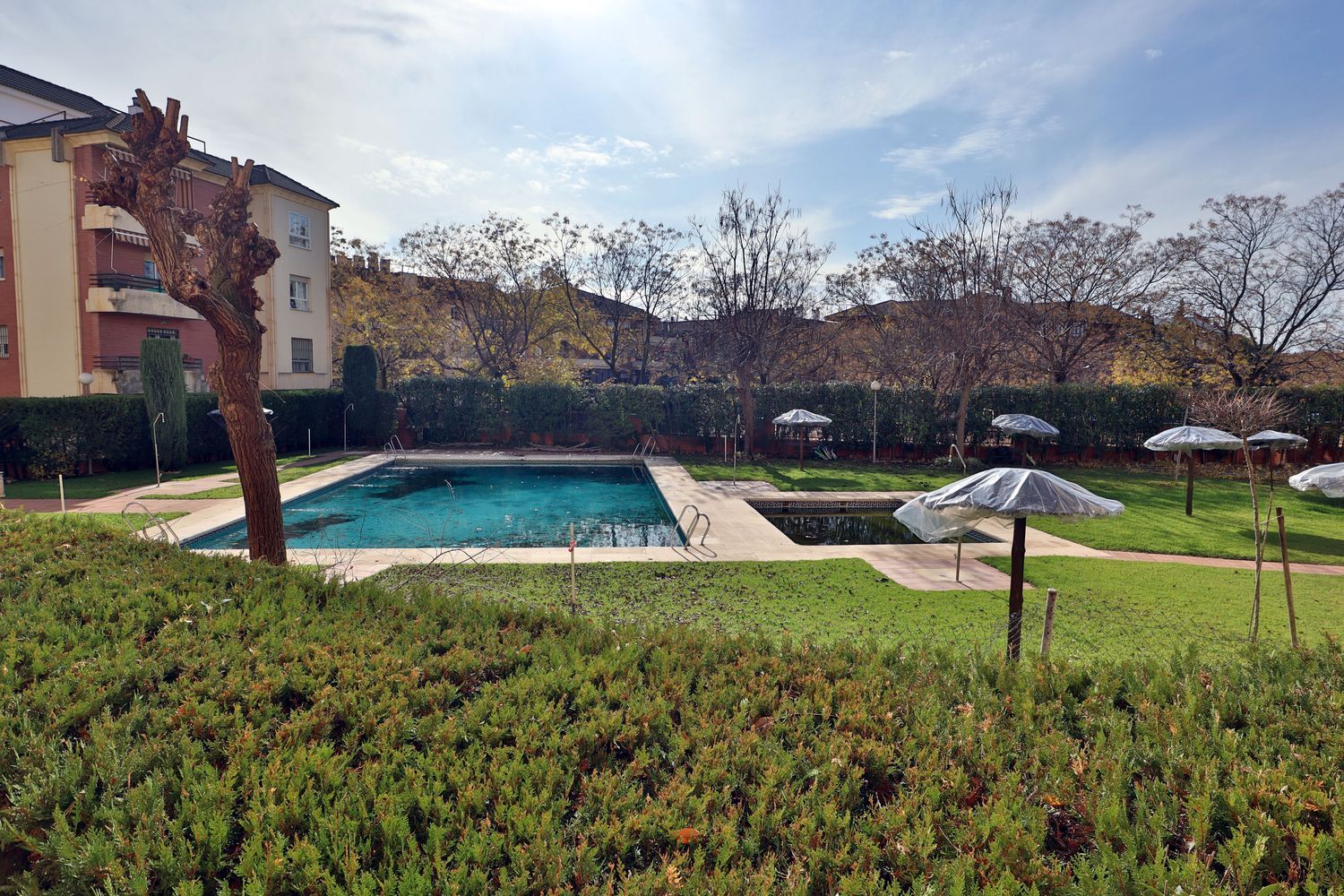 Piso en Calle Escultor Gómez del Río, 7, Santa Rosa - San José - Foto 20