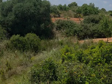 Finca rústica en  Masia els Michans 1 - Foto 2