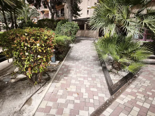 Piso en Calle del Pintor Manuel Baeza Gómez, 40, Centro, San Juan de Alicante - Foto 29