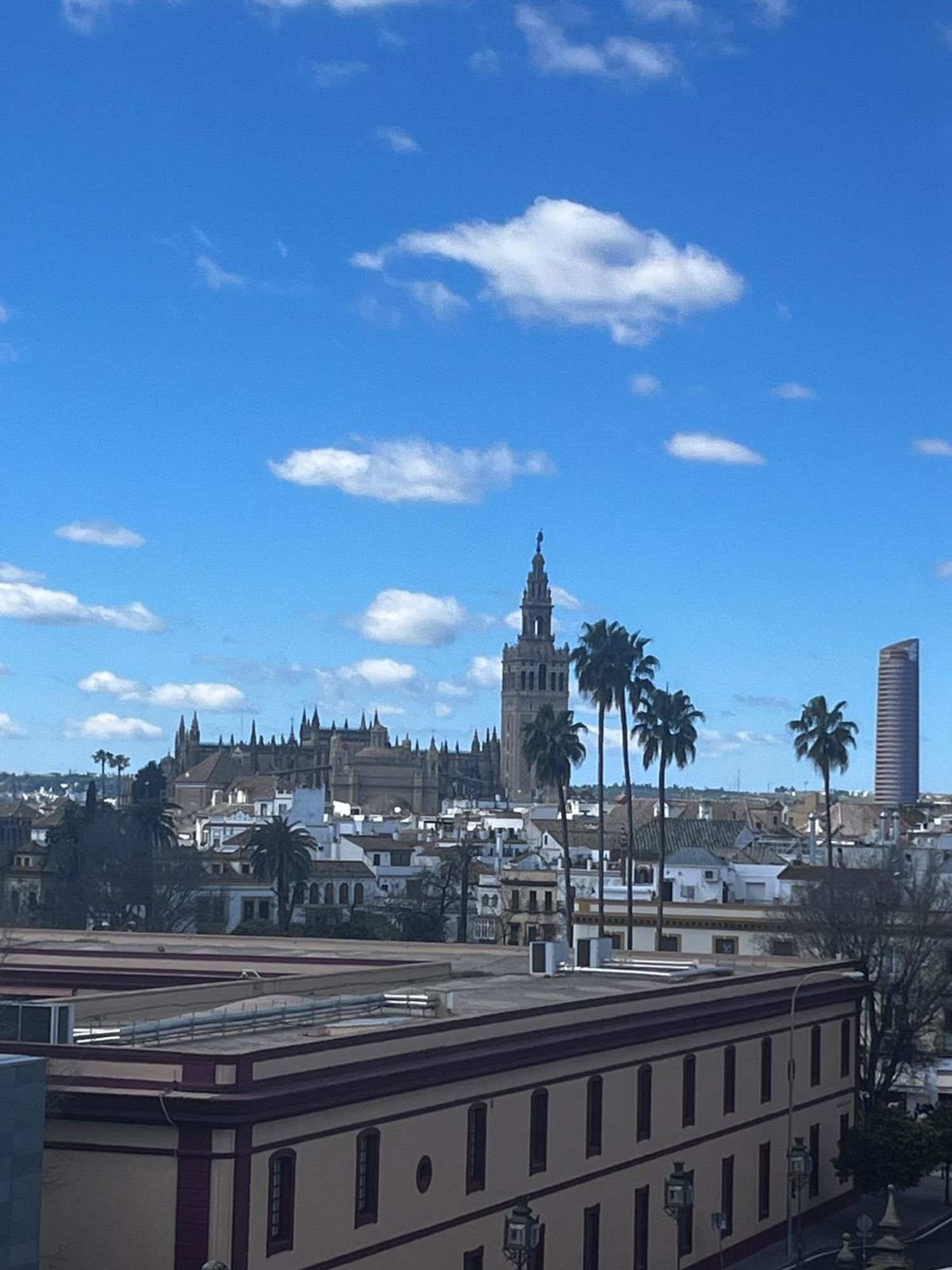 Ático en Demetrio de los Ríos, 15 - Foto 8