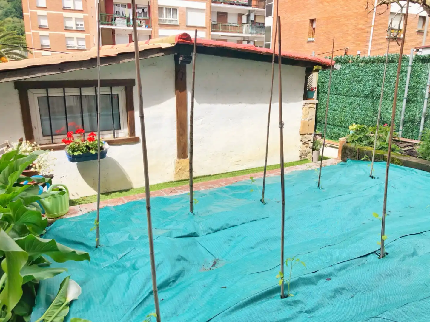 Piso en  Tximilarre Bidea 1 - Foto 13