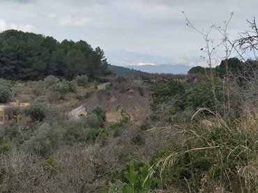 Finca rústica en  Avinguda Saragossa 2 - Foto 62