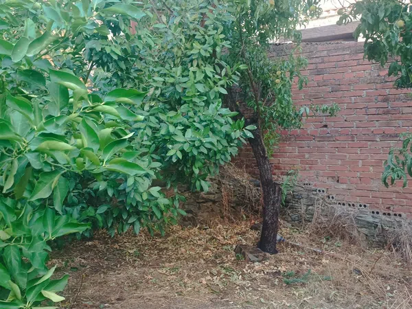 Casa de pueblo en Calle Peligro, 15 - Foto 2