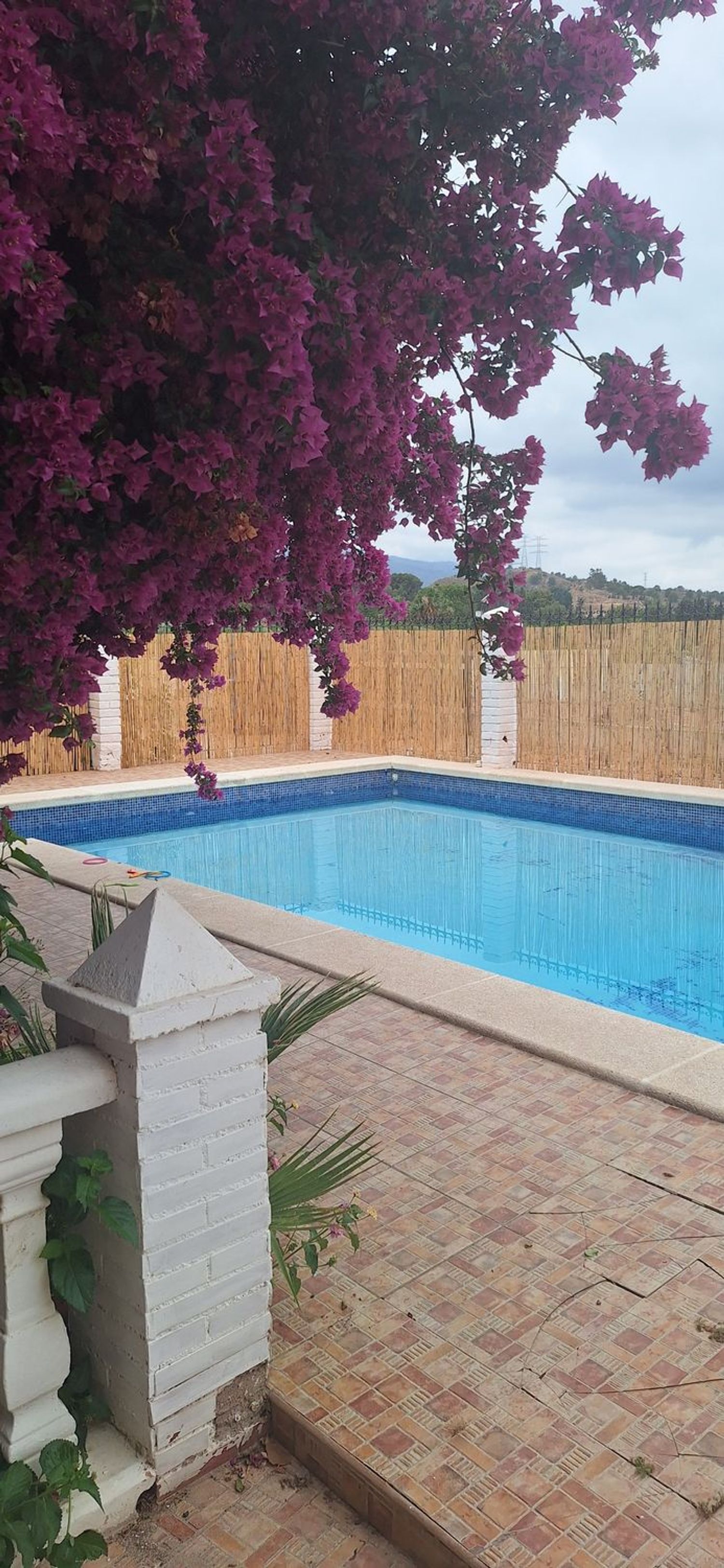 Casa o chalet independiente en Av vereda Real, 15 - Foto 34