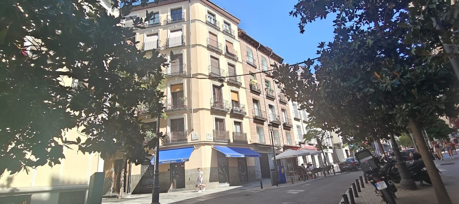 Piso en Calle de San Carlos, 17, Lavapiés-Embajadores - Foto 10