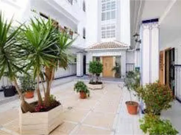 Apartamento en La Mata (Torrevieja) - Foto 9