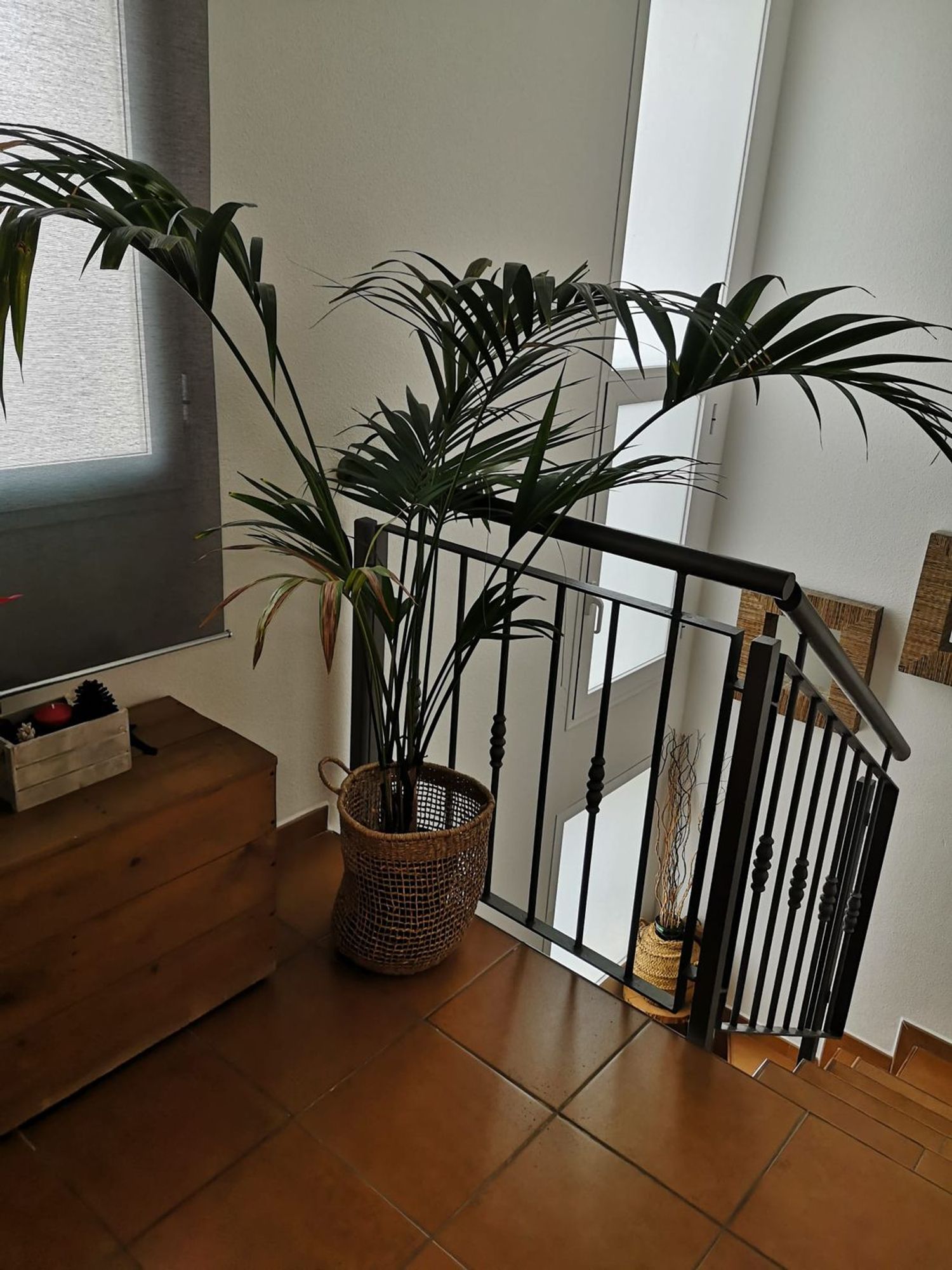 Chalet pareado en calle del Ressol s/n - Foto 19