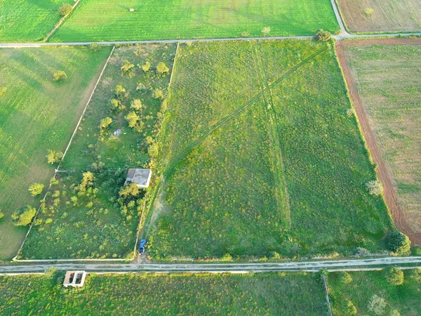 Casa rural en Poligono 18, 138 Parcela, Felanitx centro, Felanitx centro - Foto 5