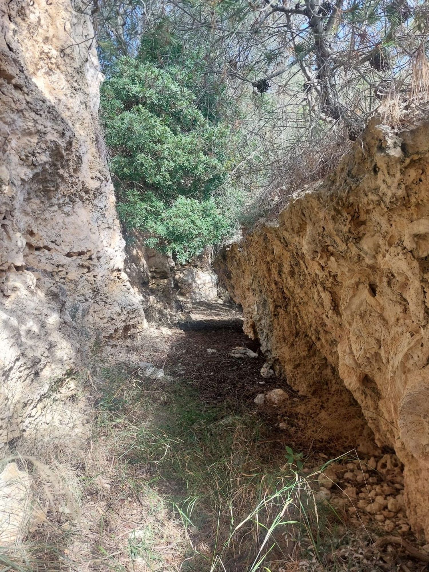 Casa rural en Camino de ses Rotes de sa Canova, 15 - Foto 6