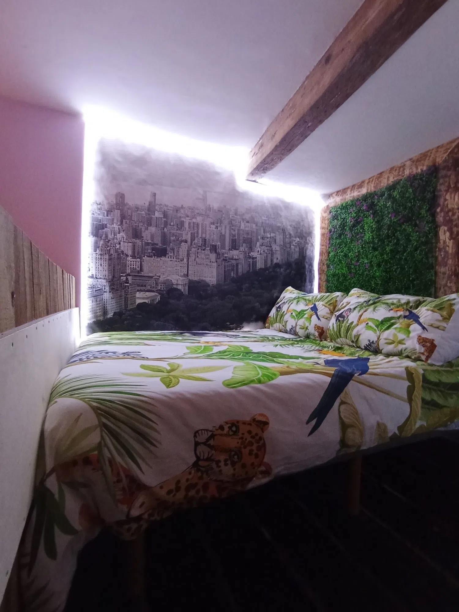 Estudio en calle de San Carlos, 13 - Foto 1