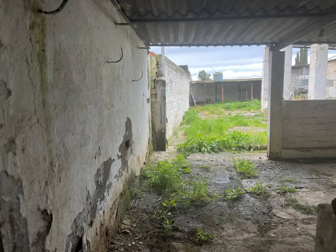 Finca rústica en  Urbanizacion Campiñuela Baja 6 - Foto 10