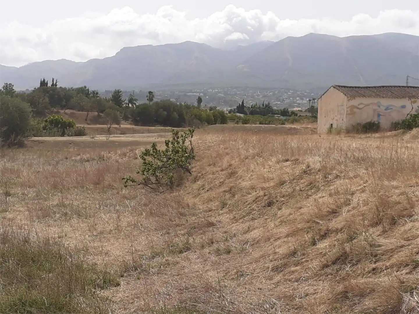 Finca rústica en  Urbanización Malvinas 12 - Foto 8