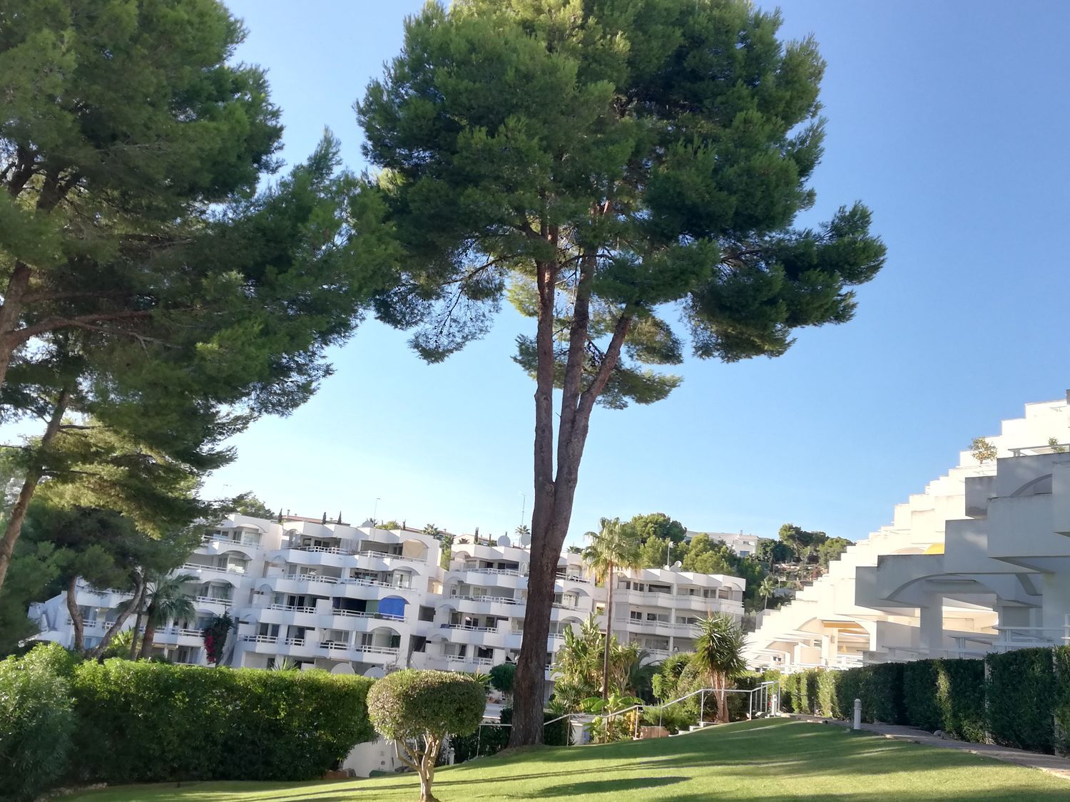 Estudio en Calle de les Sirenes, 19, Cala Vinyes - Foto 3