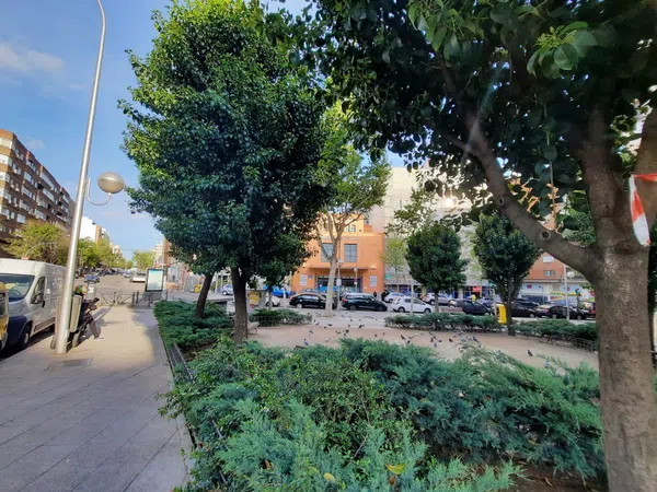 Piso en Paseo de Santa María de la Cabeza, 43, Palos de la Frontera - Foto 5