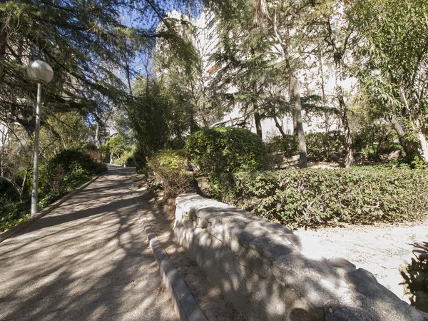 Piso en Calle de Ginzo de Limia, 55, Pilar - Foto 18