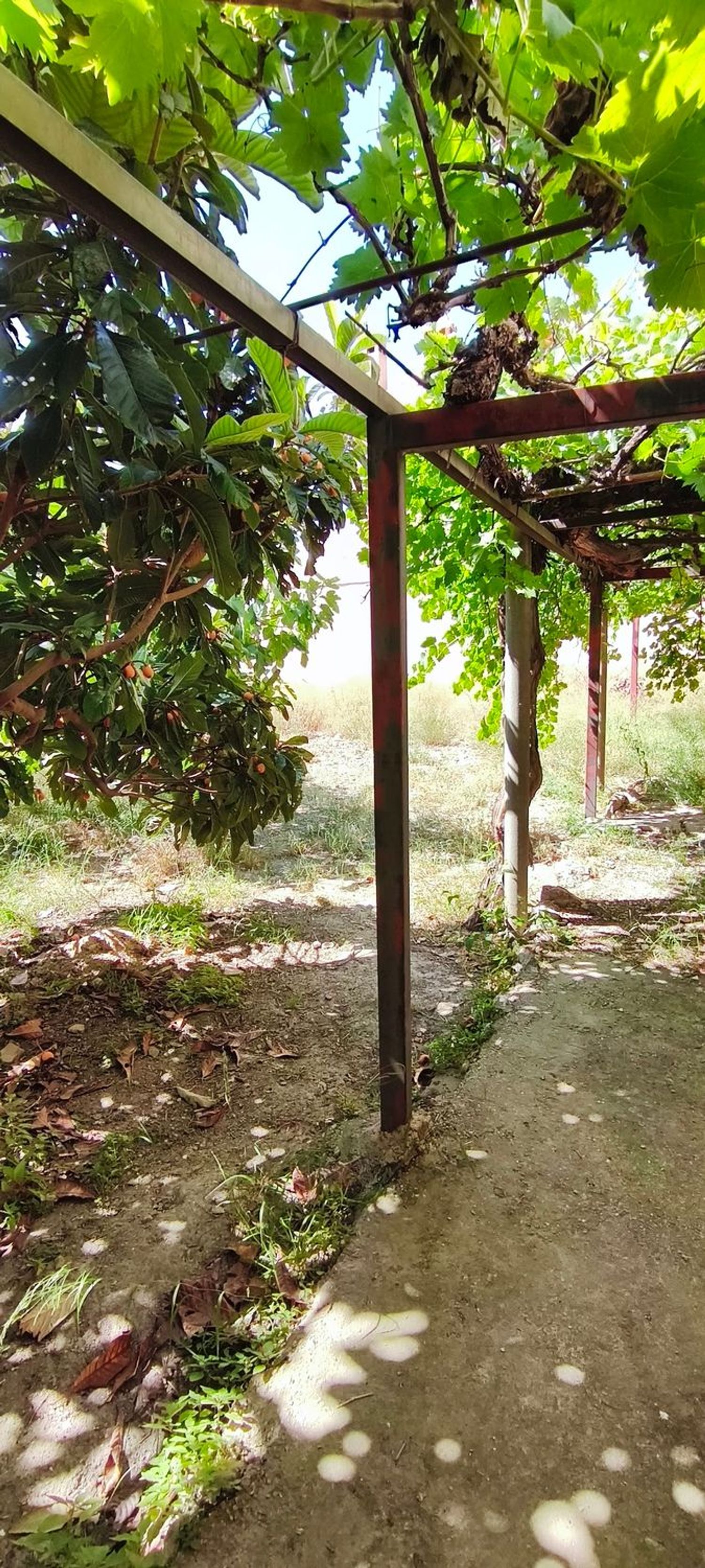 Casa de pueblo en Calle las Parras, 23 - Foto 28
