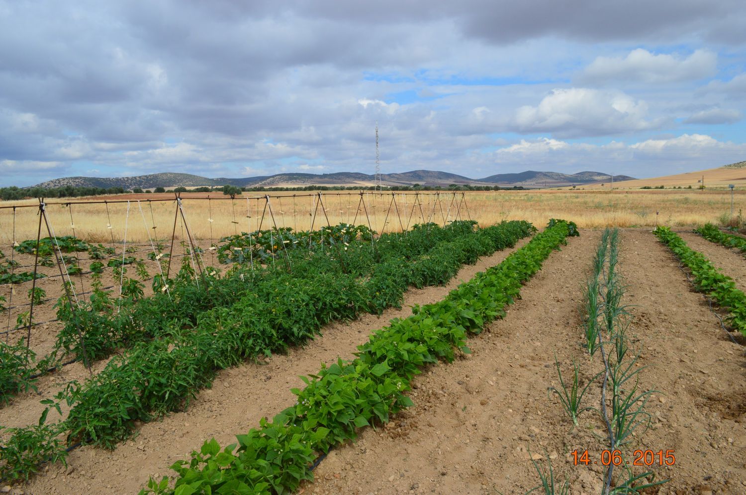 Masía en Masía en Camino de Viso del Marqués s/n - Foto 2