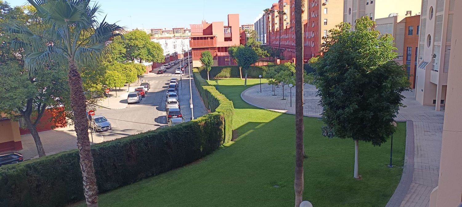 Piso en Calle Alfonso Lasso de la Vega, 21, Tiro de Línea - Foto 15