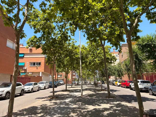 Local en Panadería en Campreciós - Torre Roja, Campreciós - Torre Roja - Foto 17