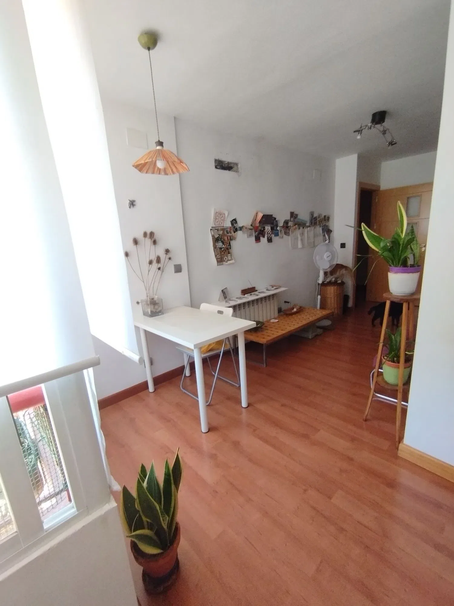 Estudio en calle José Tamayo, 8 - Foto 5