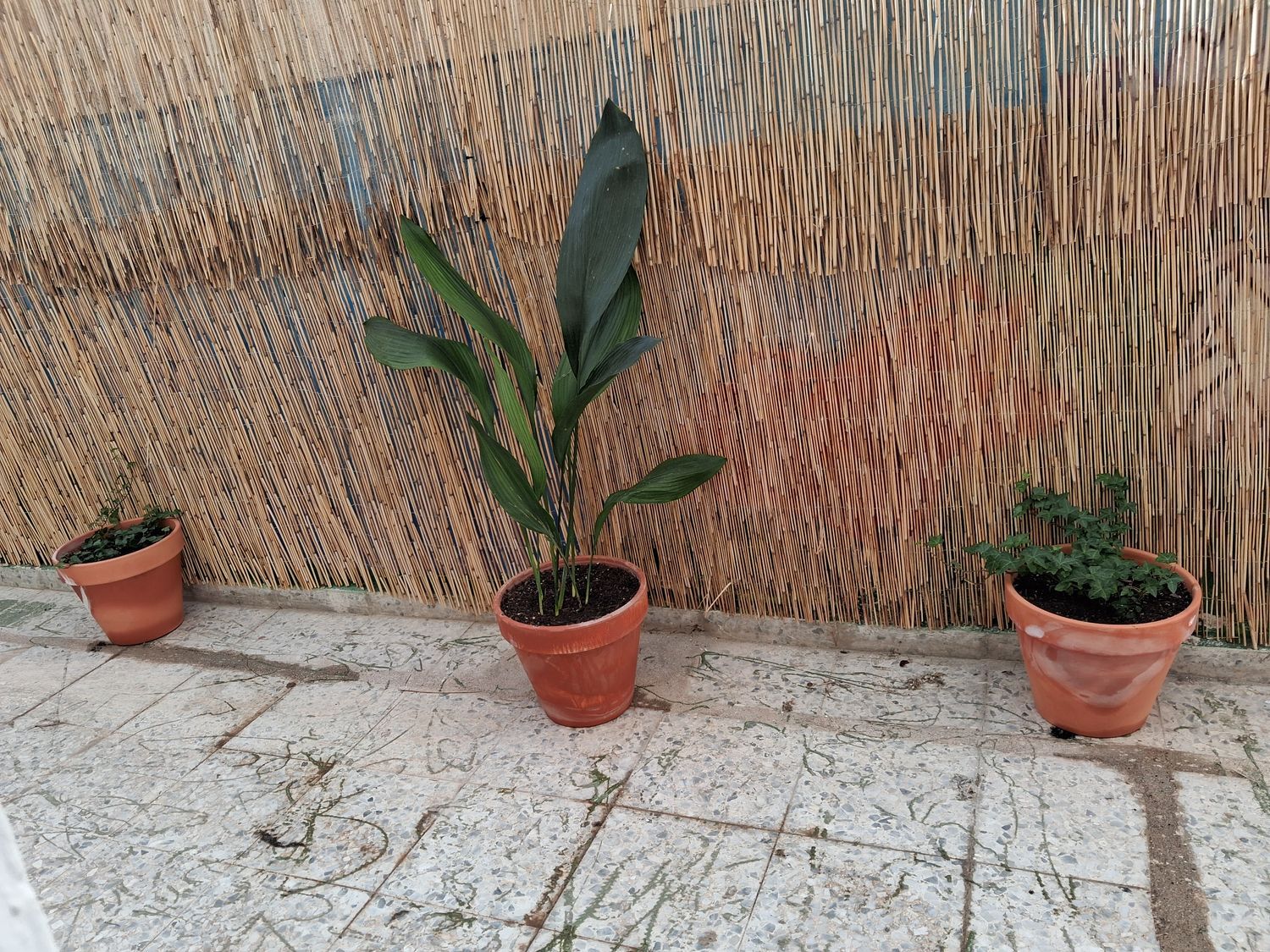 Piso en calle del Doce de Octubre, 17 - Foto 36