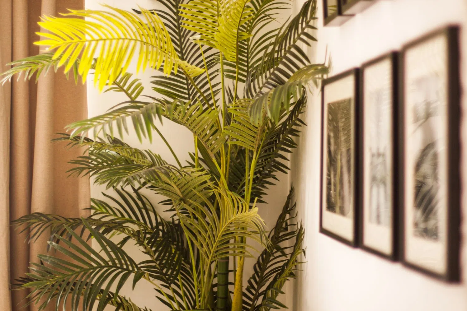 Estudio en calle Torneo, 26 - Foto 7